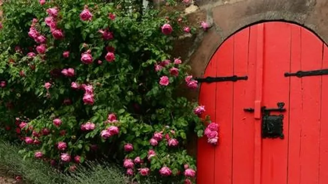 The Red Rose Women's Circle