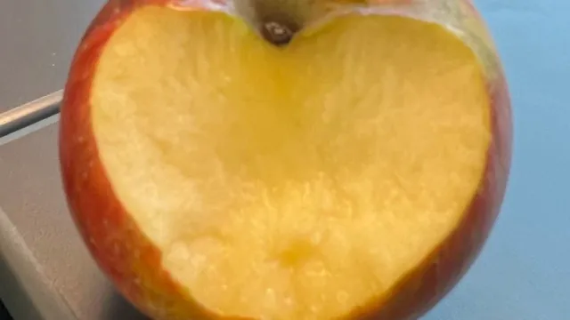 Beiss nicht gleich in jeden Apfel - Märchen für Erwachsene