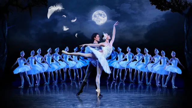 Cape Ballet – Swan Lake