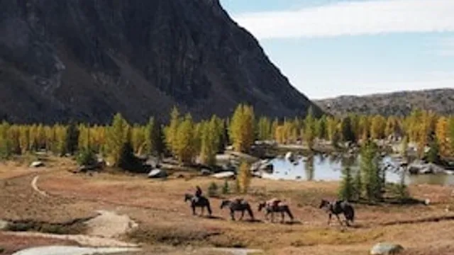 Long Way Home - Zu Pferd durch Amerika - Multivisionsshow