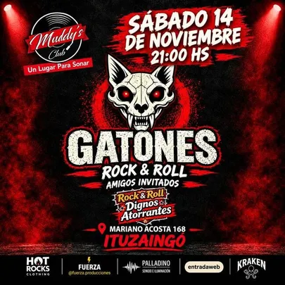 GATONES EN ITUZAINGO
