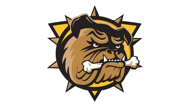 Brantford Bulldogs vs. Barrie Colts