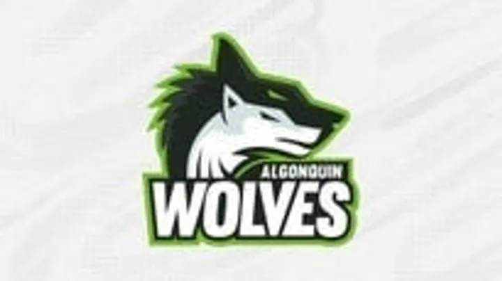 Varsity Basketball: Algonquin Wolves vs. St. Lawrence Surge
