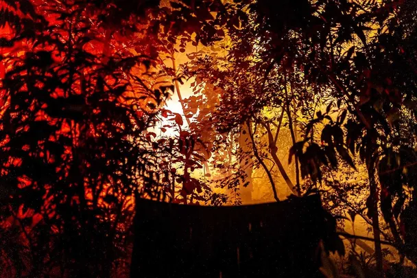 Strašidelná botanka: keltský svátek Samhain