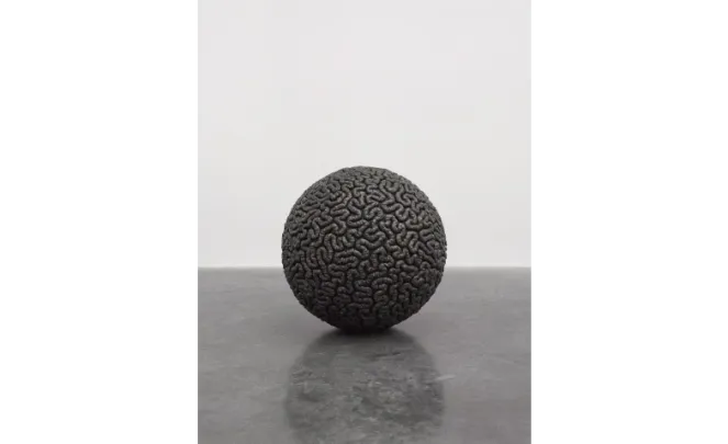 Mona Hatoum  Führung