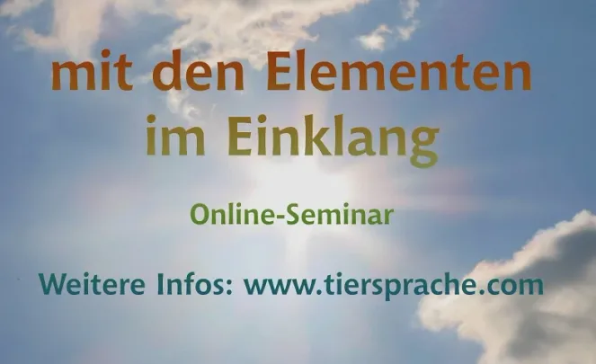 Online-Seminar: Mit den Naturelementen im Einklang