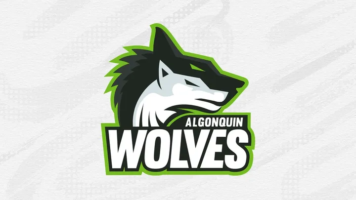 Varsity Basketball: Algonquin Wolves vs. Loyalist Lancers