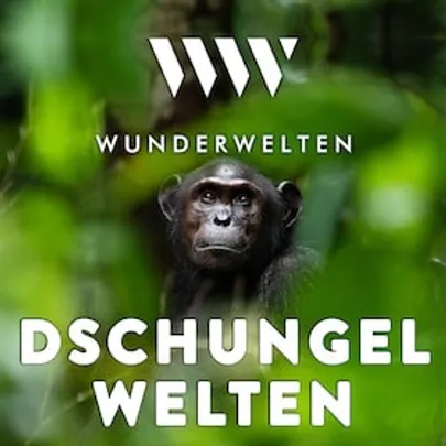 WunderWelten: Dschungelwelten