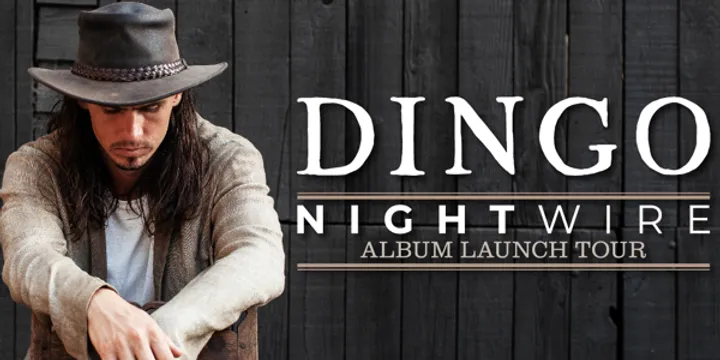 DINGO