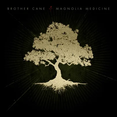 Brother Cane Live at The Sanctuary