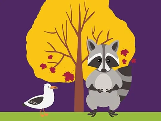 Family Concert: The Gull, the Raccoon, and the Last Maple