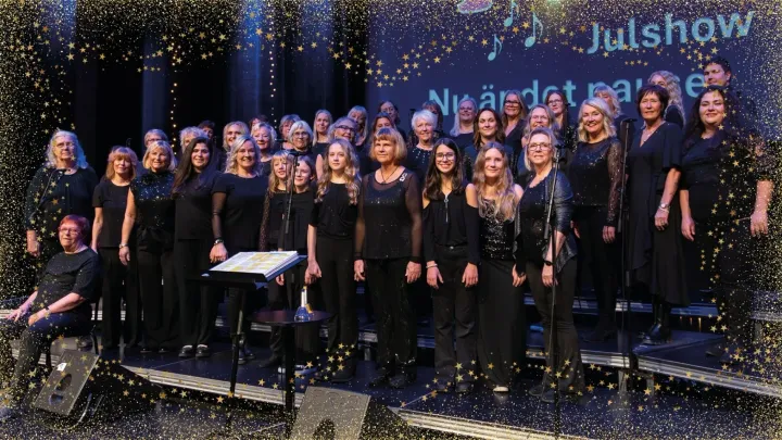 PAUS I JULSTÖKET