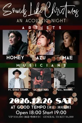 Sounds Like Christmas -an acoustic night-