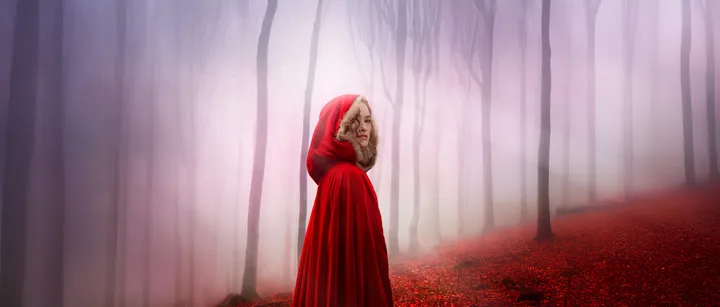 Into the Woods