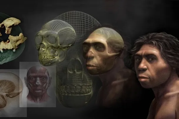 "Arte y paleontología", exposición de Mauricio Antón