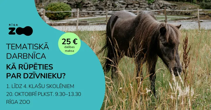 Tematiskā diena Rīga ZOO - 'Kā rūpēties par dzīvniekiem?'