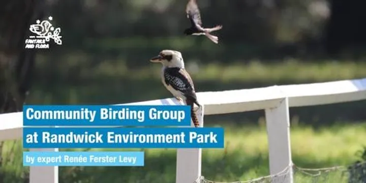 Community Birding Group - 10.04.27