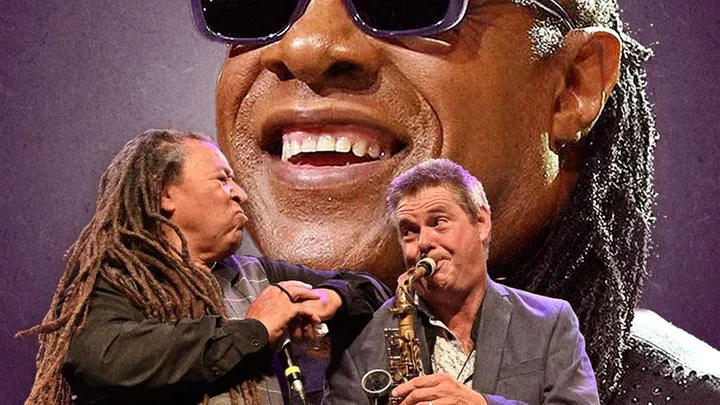 The Wonder of Stevie