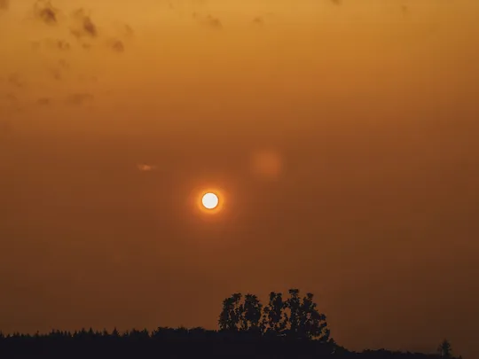 Coffee with composers and artists