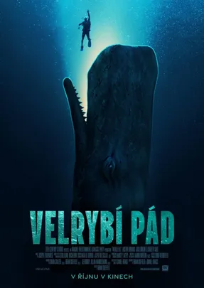 Velrybí pád