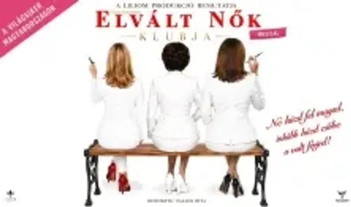 Elvált nők klubja - musical