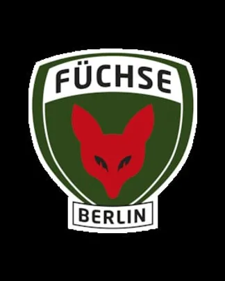 Rostocker HC - Füchse Berlin