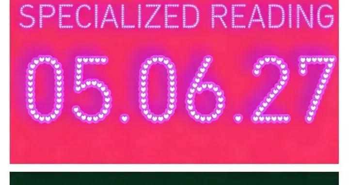 SPECIALIZED READING 2027