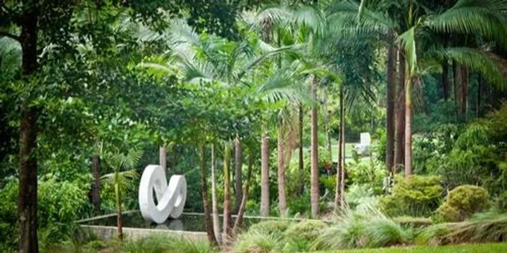 Where Art Meets Nature: Cultivating Beauty, Connection and Wellbeing for All