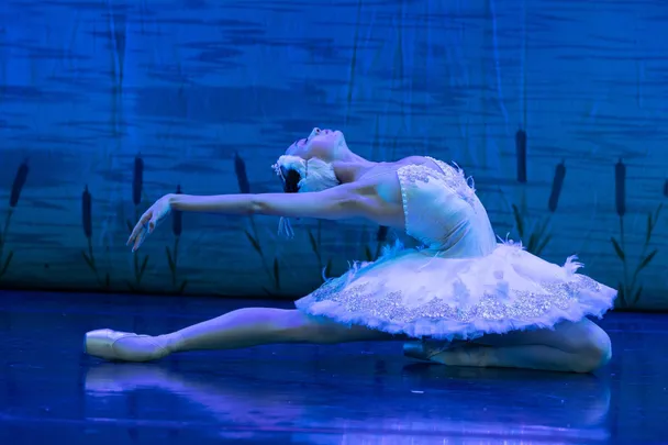 British Festival Ballet: Joutsenlampi
