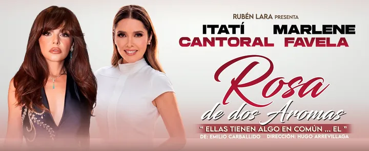 Rosa de Dos Aromas