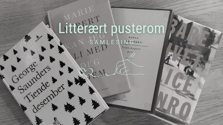 Litterært pusterom - Samlesing 30.11.
