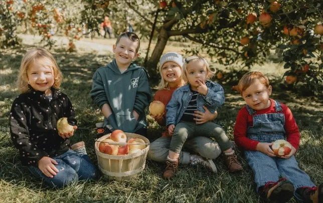 Fall Season U-Pick
