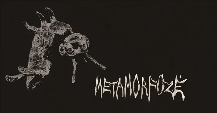METAMORFOZĖ | Liepojos lėlių teatro gastrolės