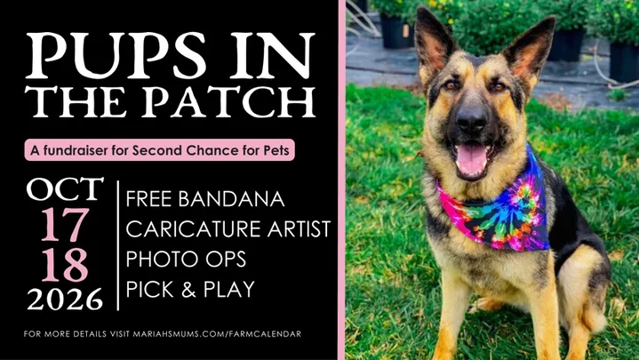 Pups in the Patch