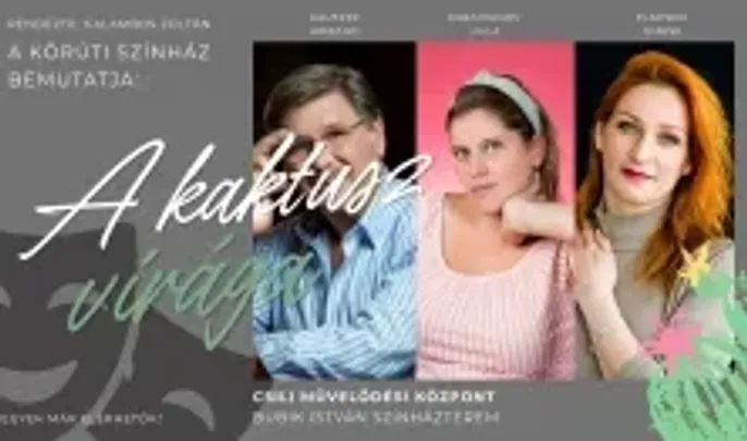 Felnőtt Színház - A kaktusz virága