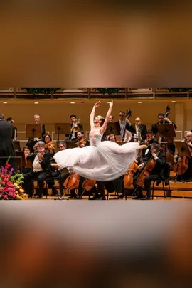 Salute to Vienna New Year’s Concert