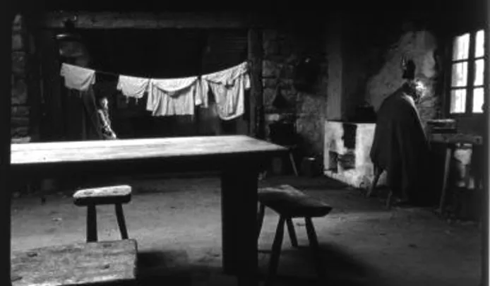 The Turin Horse / A torinói ló by Béla Tarr & Co-director Agnes Hranitzky