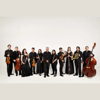 Grandes Invitados: Orquesta de Cámara de Valdivia
