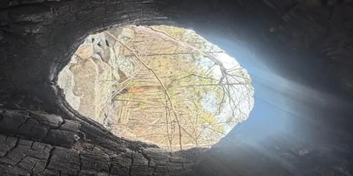 The Breathwork Collective: November Afternoon Group Breath Circle