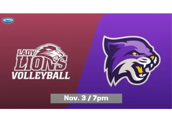 FHU Volleyball vs. Bethel