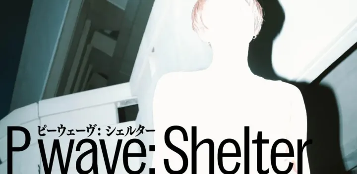 【11/21（土）15:00】ハラサオリ『P wave: Shelter』