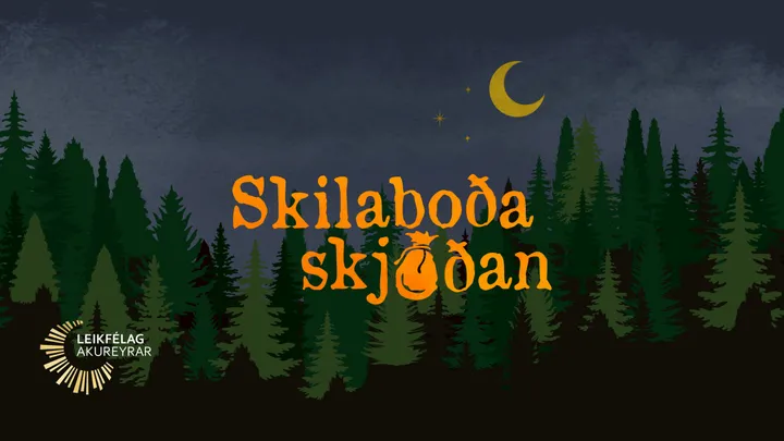 Skilaboðaskjóðan