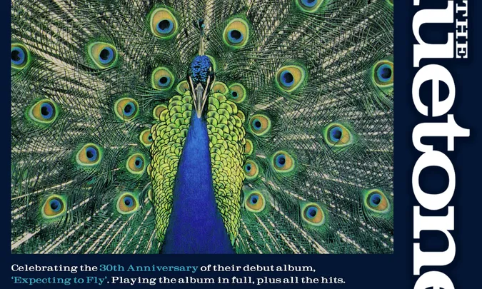 The Bluetones