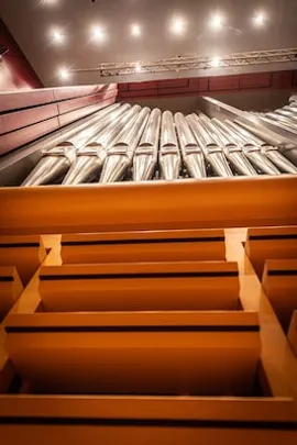 Studierende der Orgelklassen