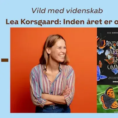 Lea Korsgaard: Inden året er omme.