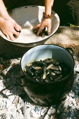 Coastal Forage Experience with Veld & Sea - 10 January