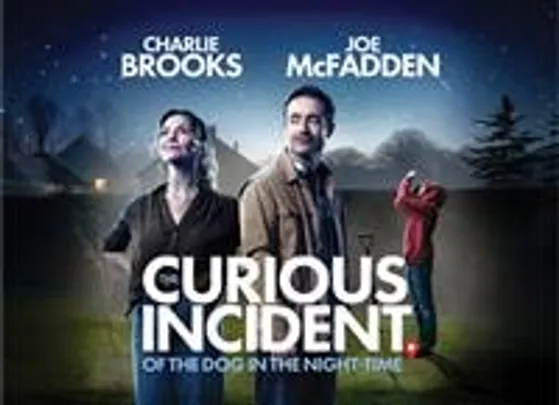 The Curious Incident of the Dog in the Night-Time