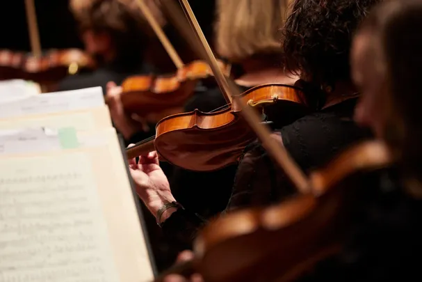 Night of Music: An Evening with the MSO 2026 @ Berninneit