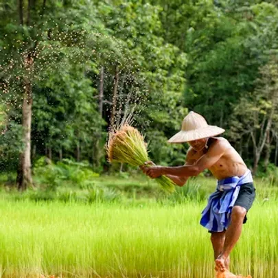 Gratis rejseforedrag om Vietnam med dansk rejseleder i Randers