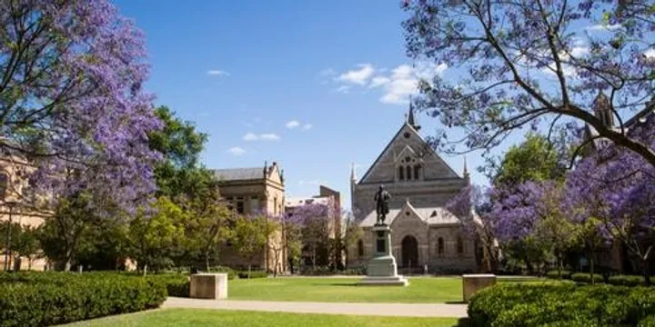 17th International and Interdisciplinary Conference on Applied Linguistics and Professional Practice (ALAPP)